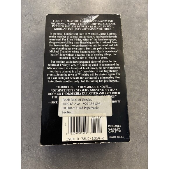 The Lost Boy - Paperback, by Noel Hynd First Printing 1999 - Picture 2 of 3